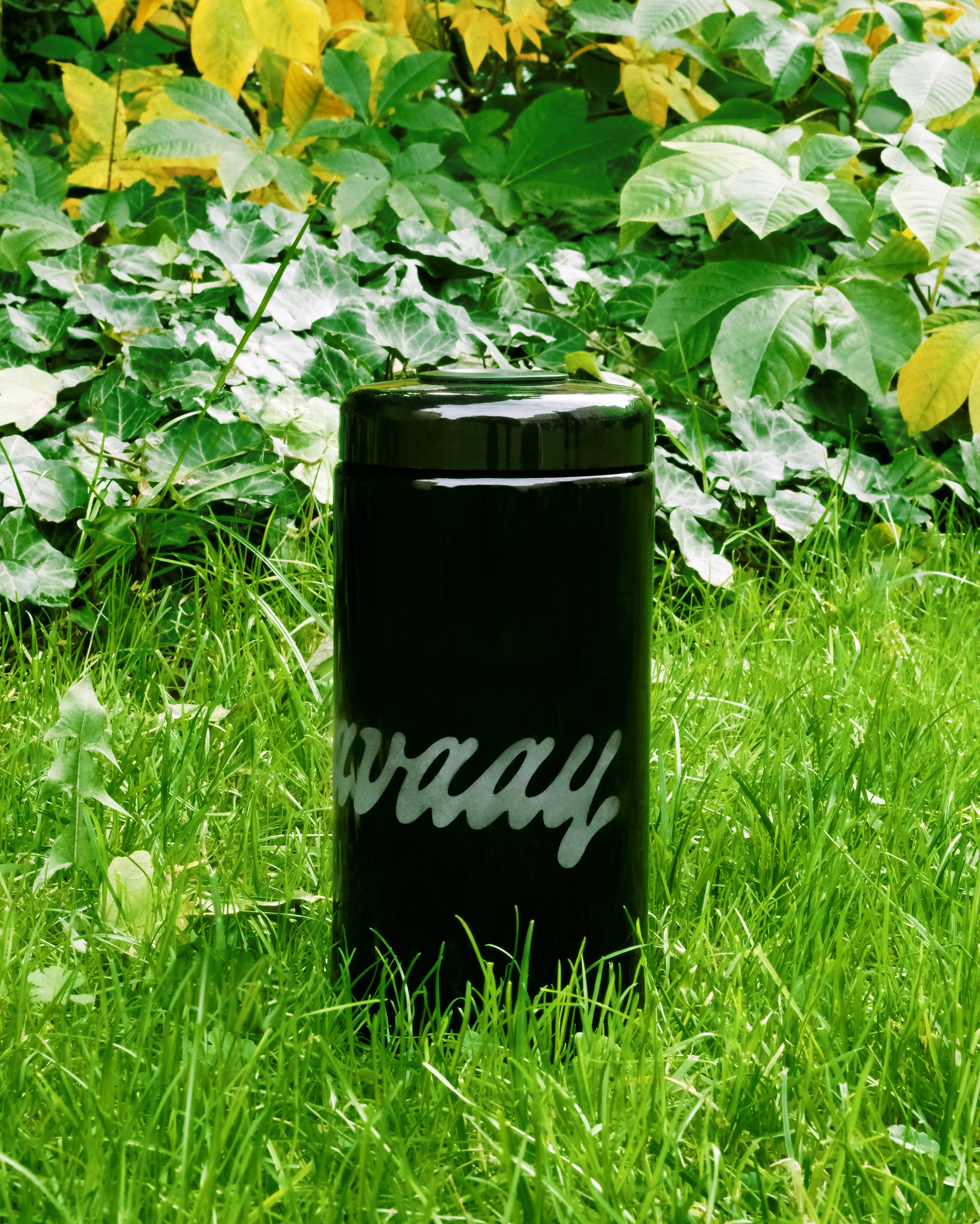 Cannasseur Club x avaay – Humidore