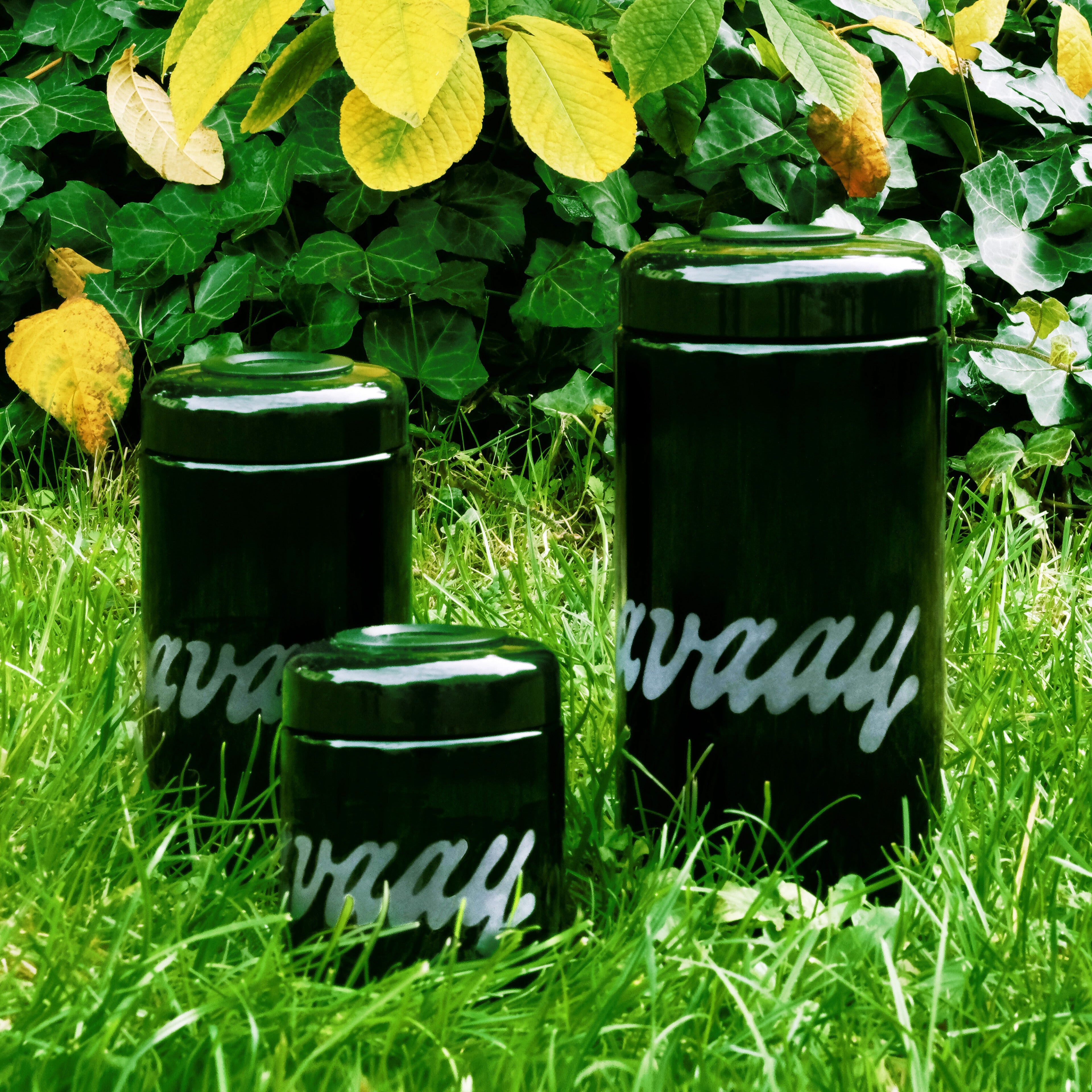 Cannasseur Club x avaay – Humidore