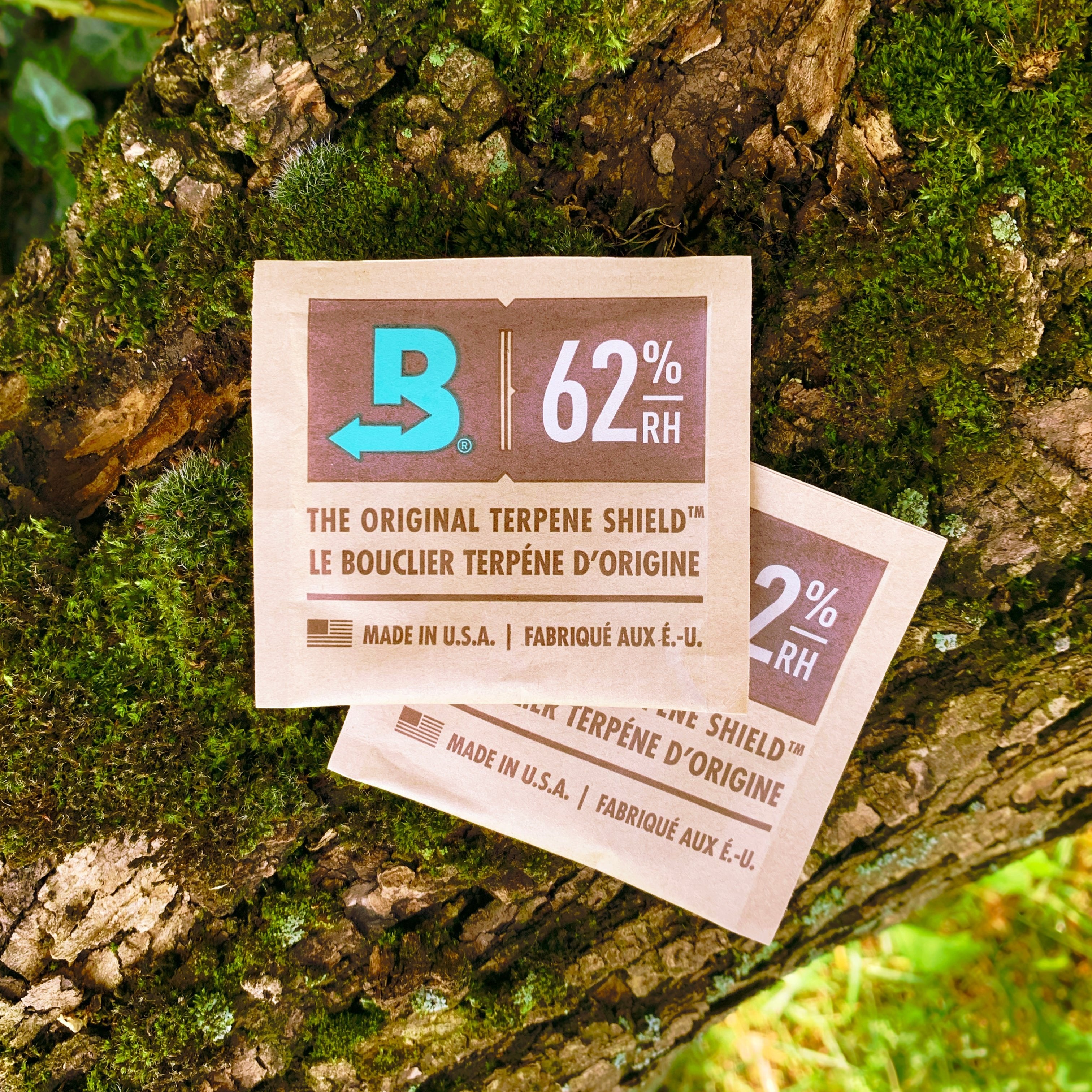 Zwei Boveda Bags, zur Feuchtigkeitsregulation von getrocknetem Pflanzenmaterial, liegen auf einer moosbewachsenenen Baumrinde.