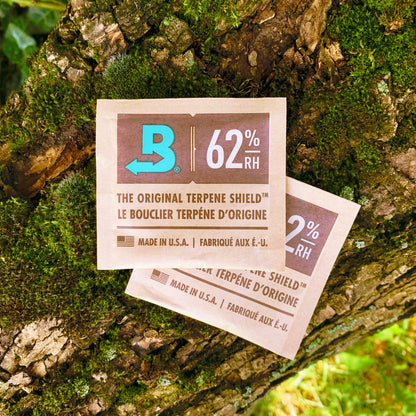 Zwei Boveda Bags, zur Feuchtigkeitsregulation von getrocknetem Pflanzenmaterial, liegen auf einer moosbewachsenenen Baumrinde.